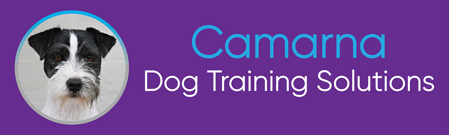 Camarna Dog Training Solutions